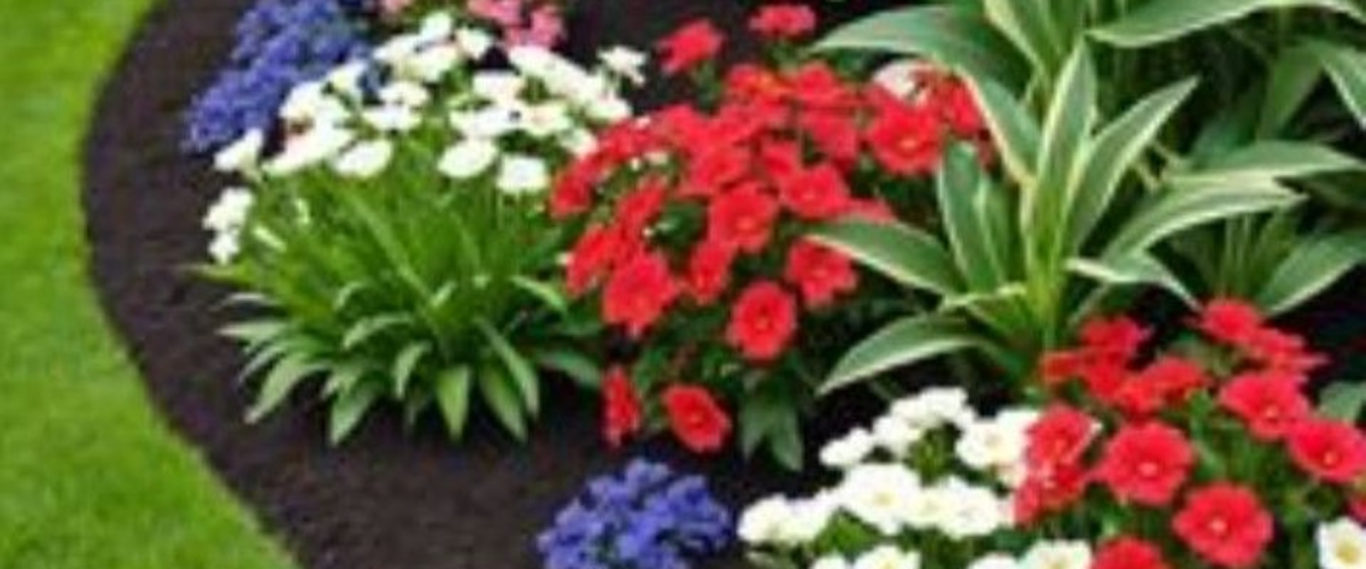 Creative Flower Bed Designs for Your Outdoor Oasis