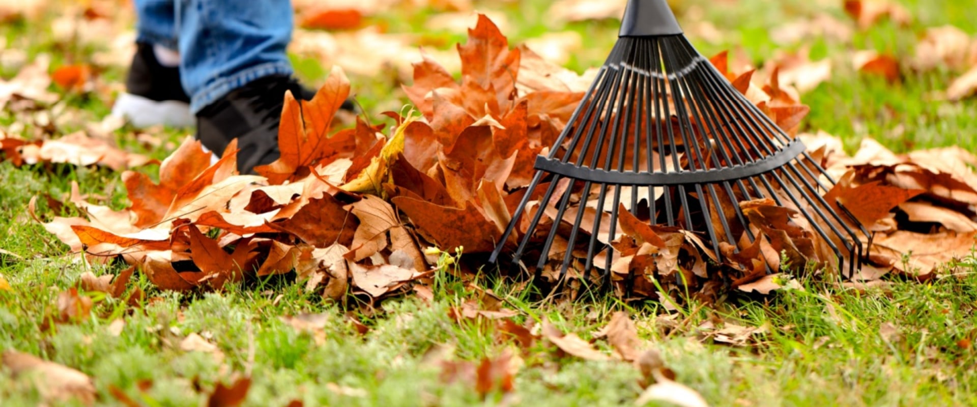Preparing Your Landscape for Winter: Essential Fall Tasks
