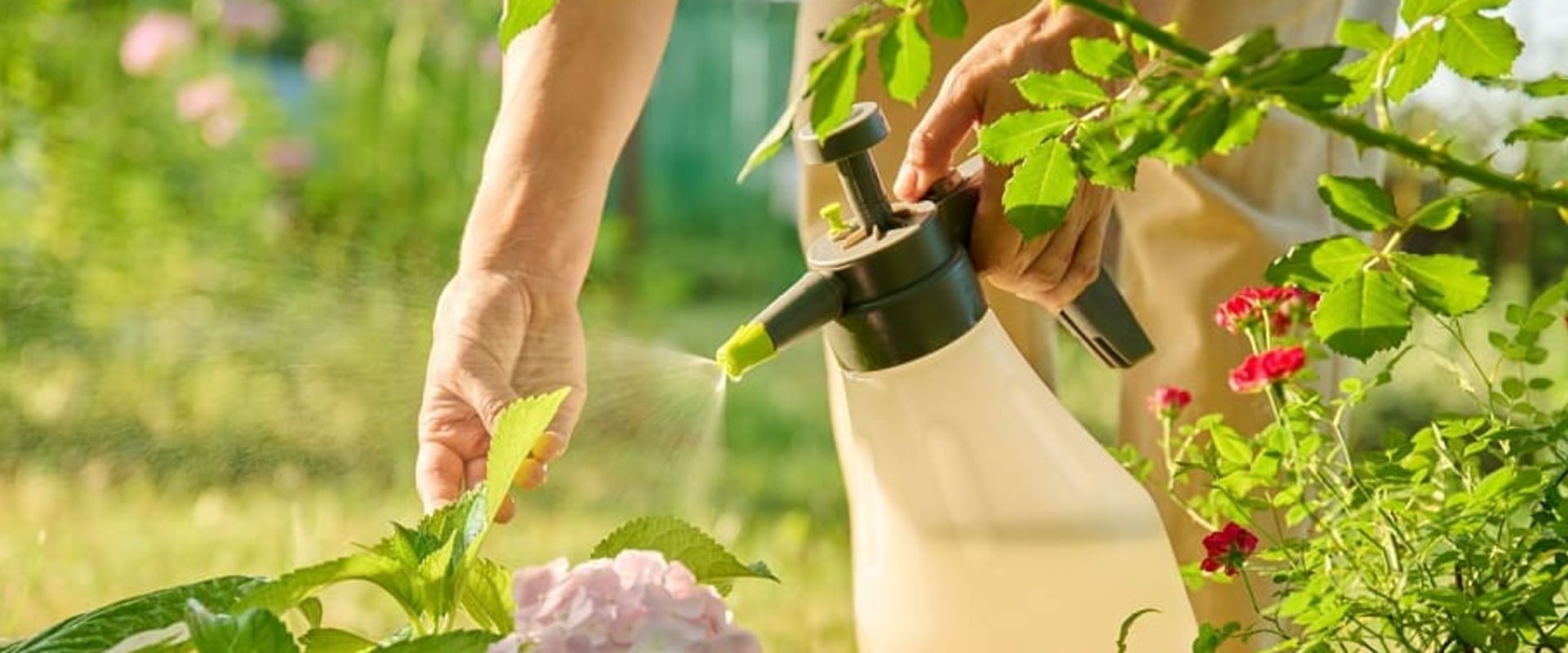 Natural Solutions for Pest Control in Your Landscape