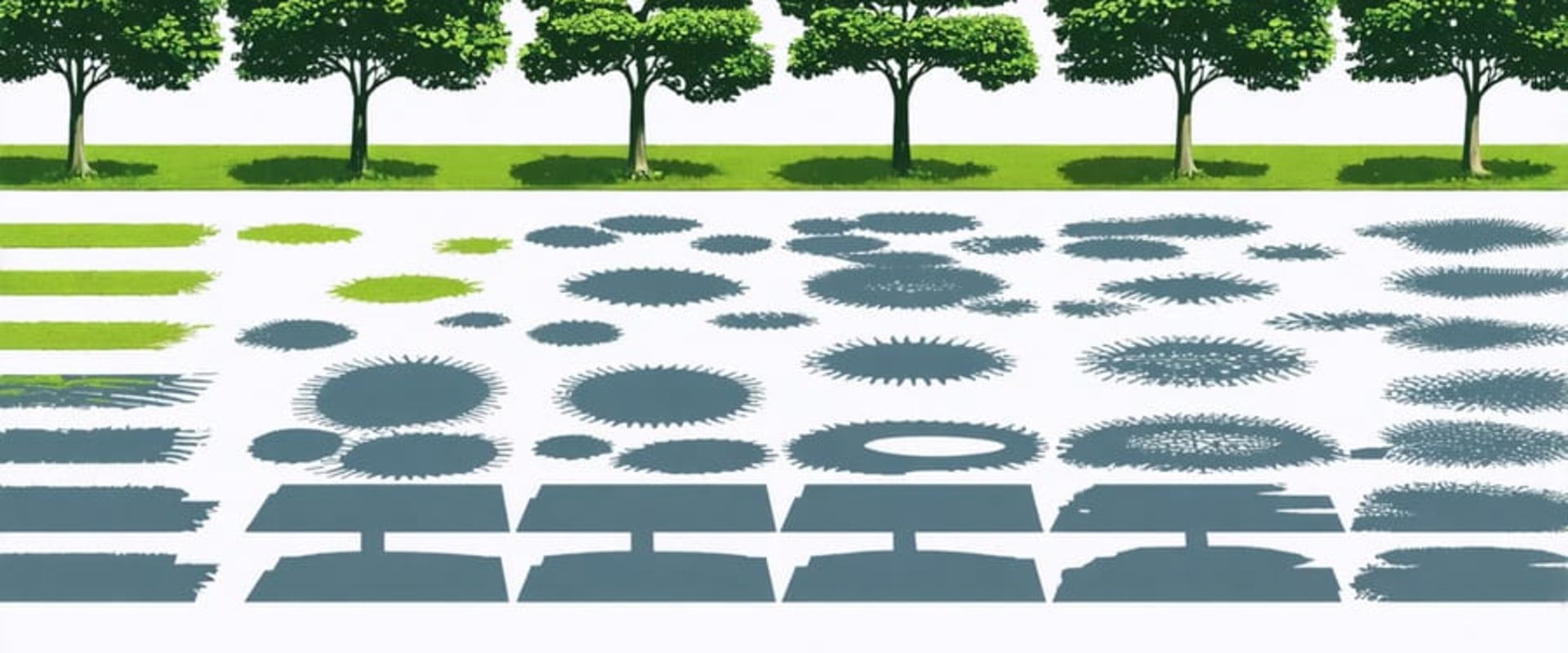 Understanding Sun and Shade Patterns in Landscape Design