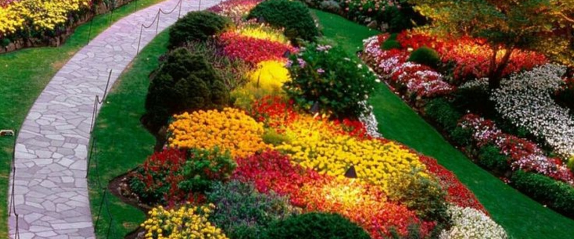 Creating Stunning Color Combinations with Flowers for Your Landscape