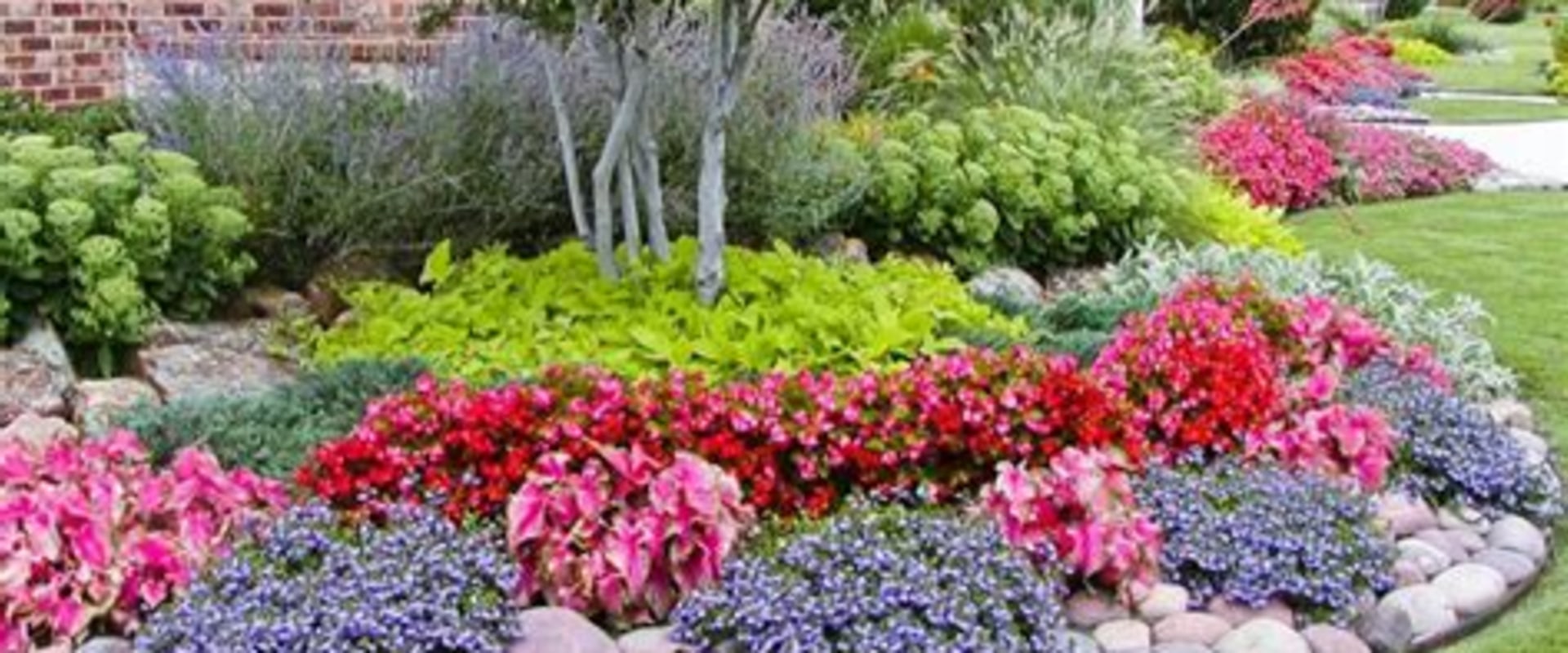 Understanding the Impact of Color in Landscaping