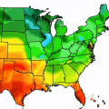 Understanding USDA Plant Hardiness Zones for Your Landscape